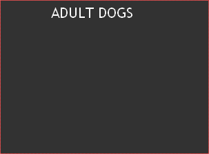 ADULT DOGS